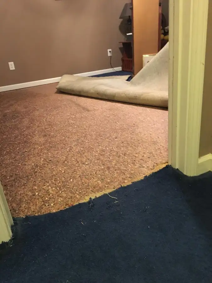 Carpet pad removal revealing water damage during Drying & Dehumidification in Reedurban