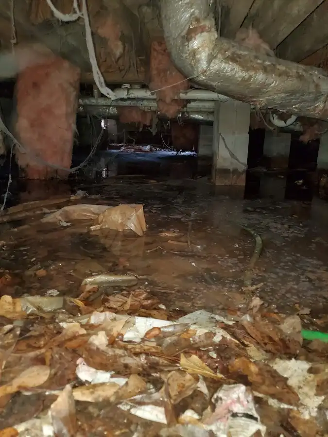 Crawl space flood assessment for Commercial Water Damage Restoration in Reedurban
