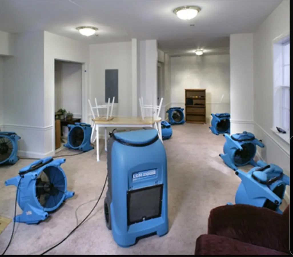 Air movers and dehumidifier setup for Water Extraction & Removal in Reedurban
