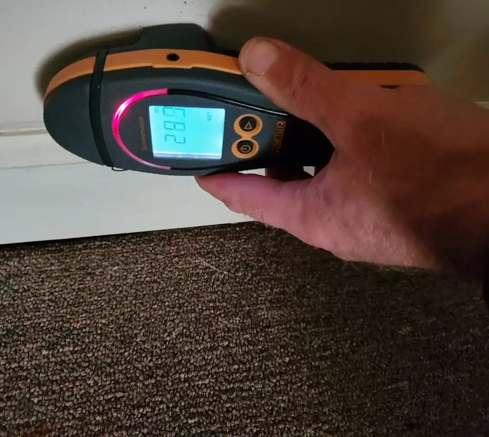 Moisture detection at baseboard during Sewage Cleanup & Sanitation in Reedurban